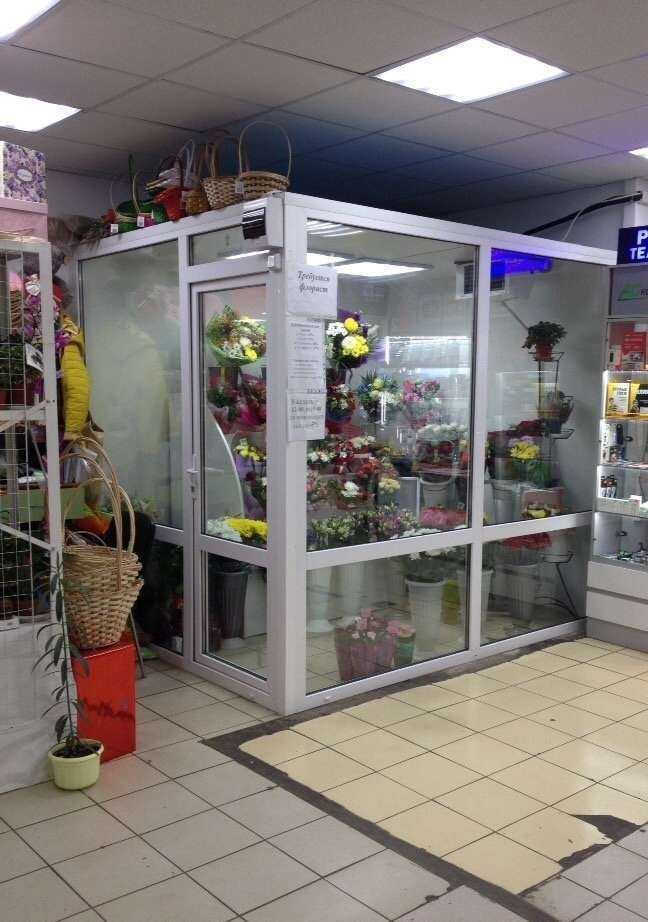 Отзывы на компанию Флора в г. Тольятти c фото