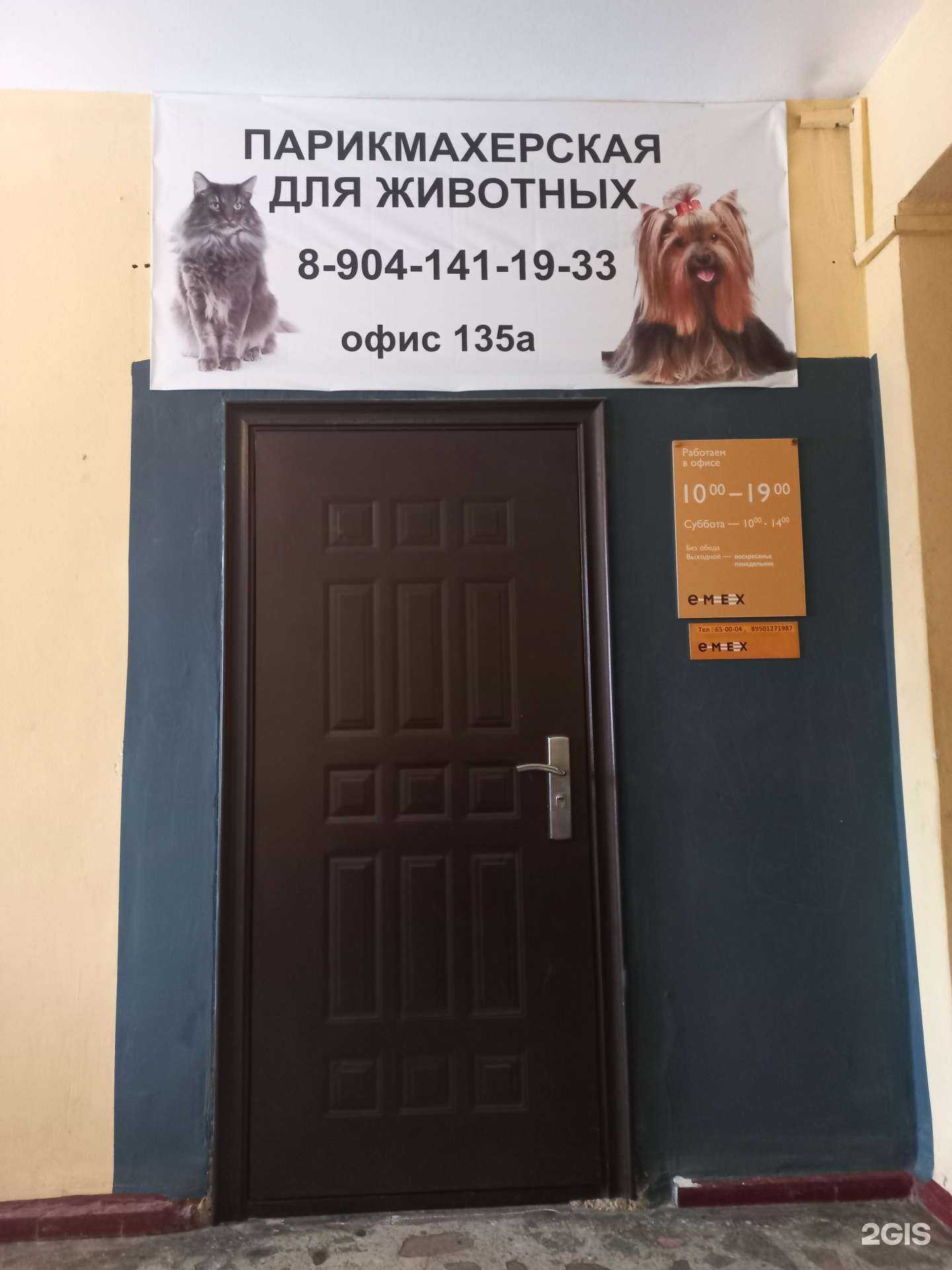 Отзывы на компанию Парикмахерская для животных в Шелехове c фото