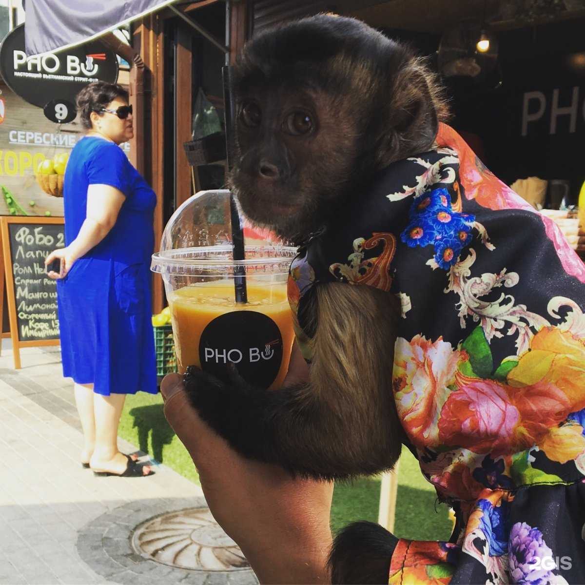 Отзывы на компанию Pho Bo в Краснодаре c фото