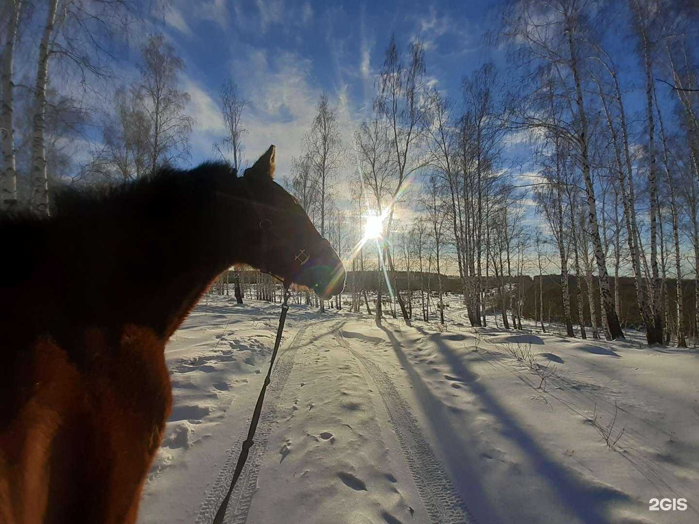 Отзывы на компанию Свобода в Екатеринбурге c фото