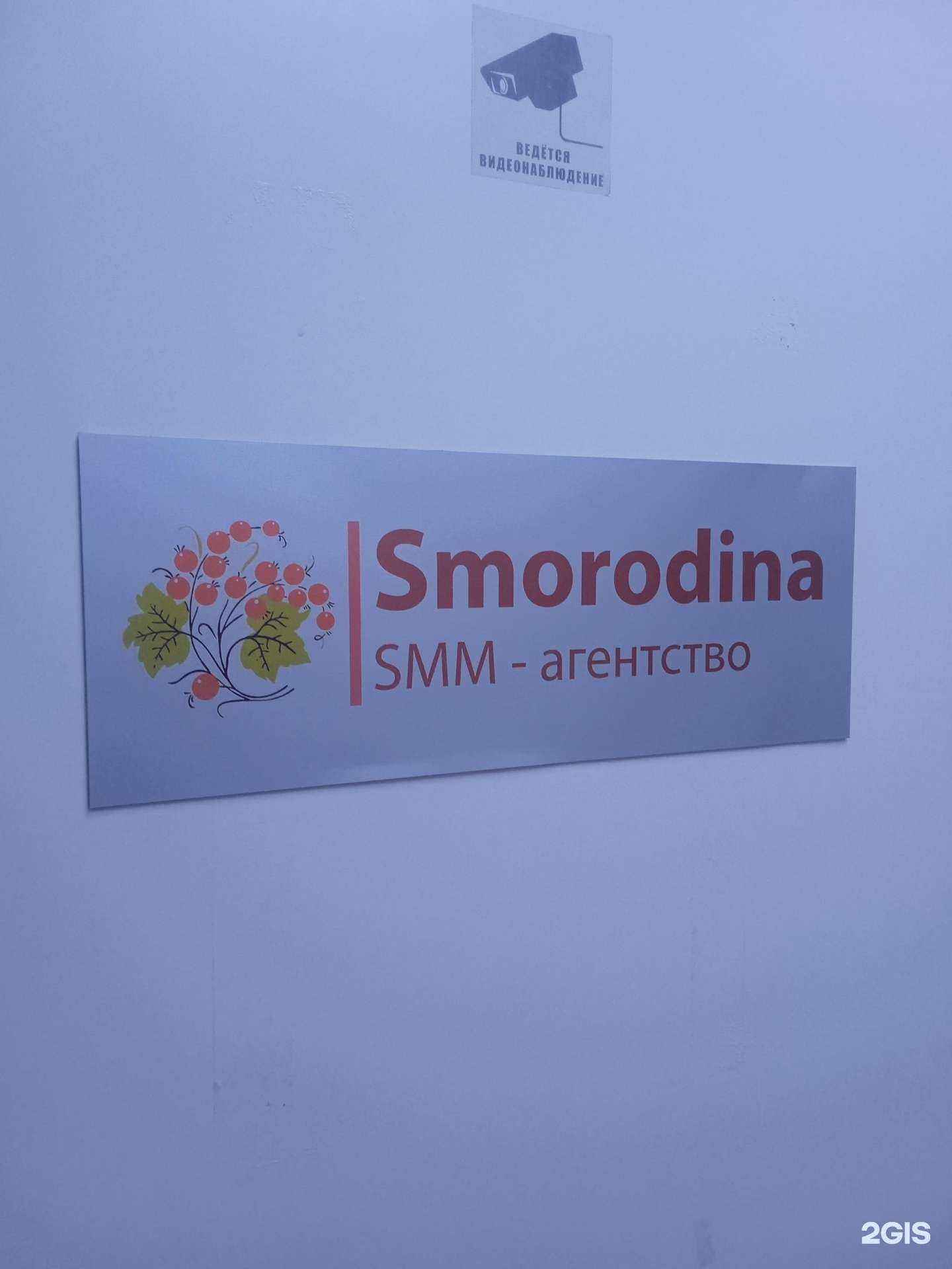 Отзывы на компанию Smorodina в Ставрополе c фото