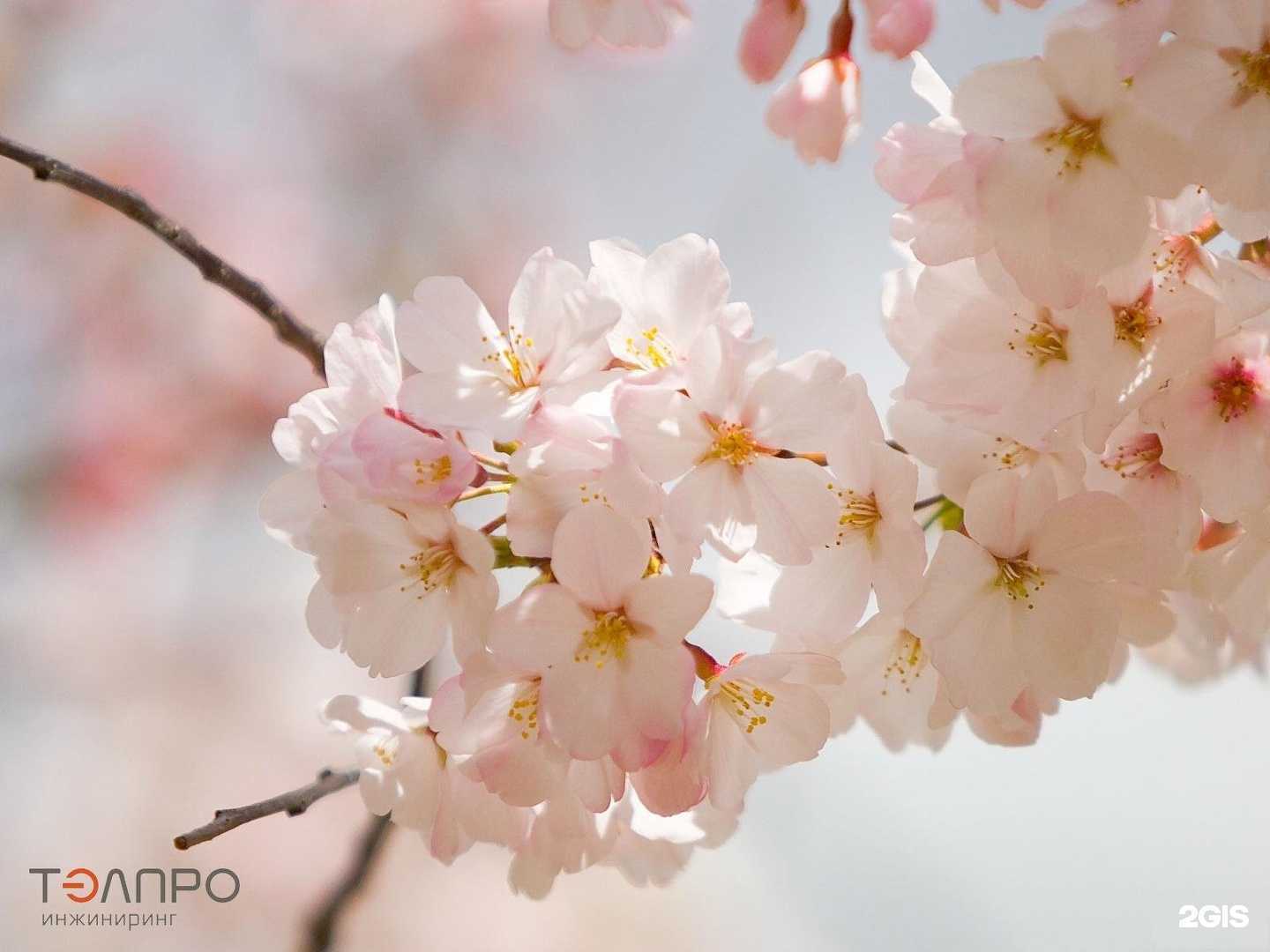 Отзывы на компанию Инжиниринговая Компания ТЭЛПРО в Твери c фото