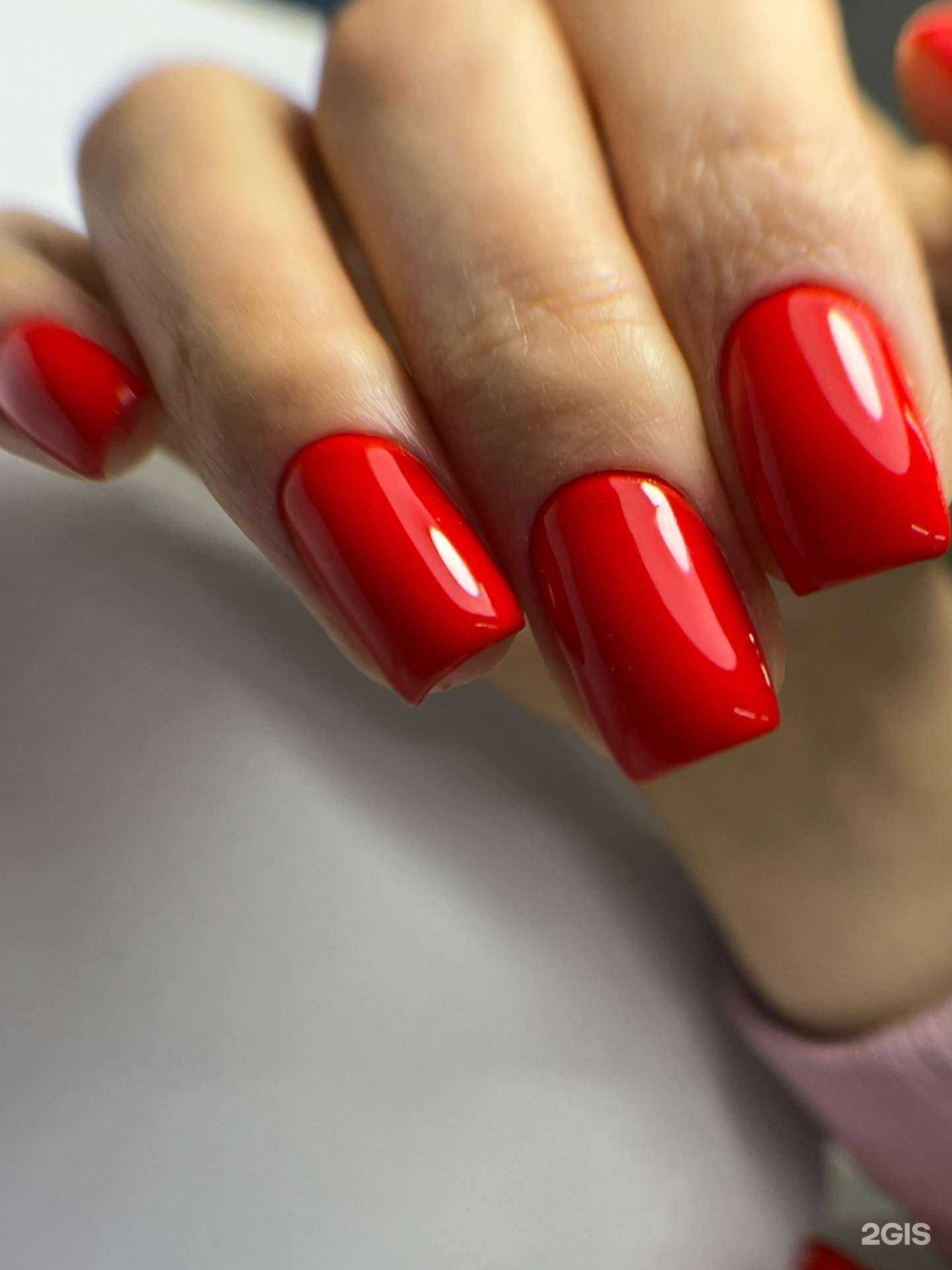 Отзывы на компанию Лохматая ворона в г. Иркутск c фото