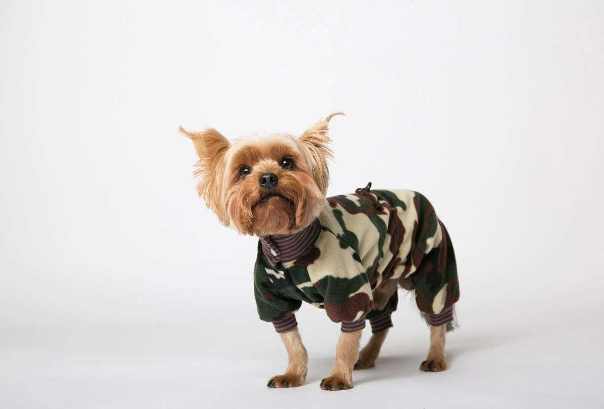 Отзывы на компанию ЗооБум в Архангельске c фото