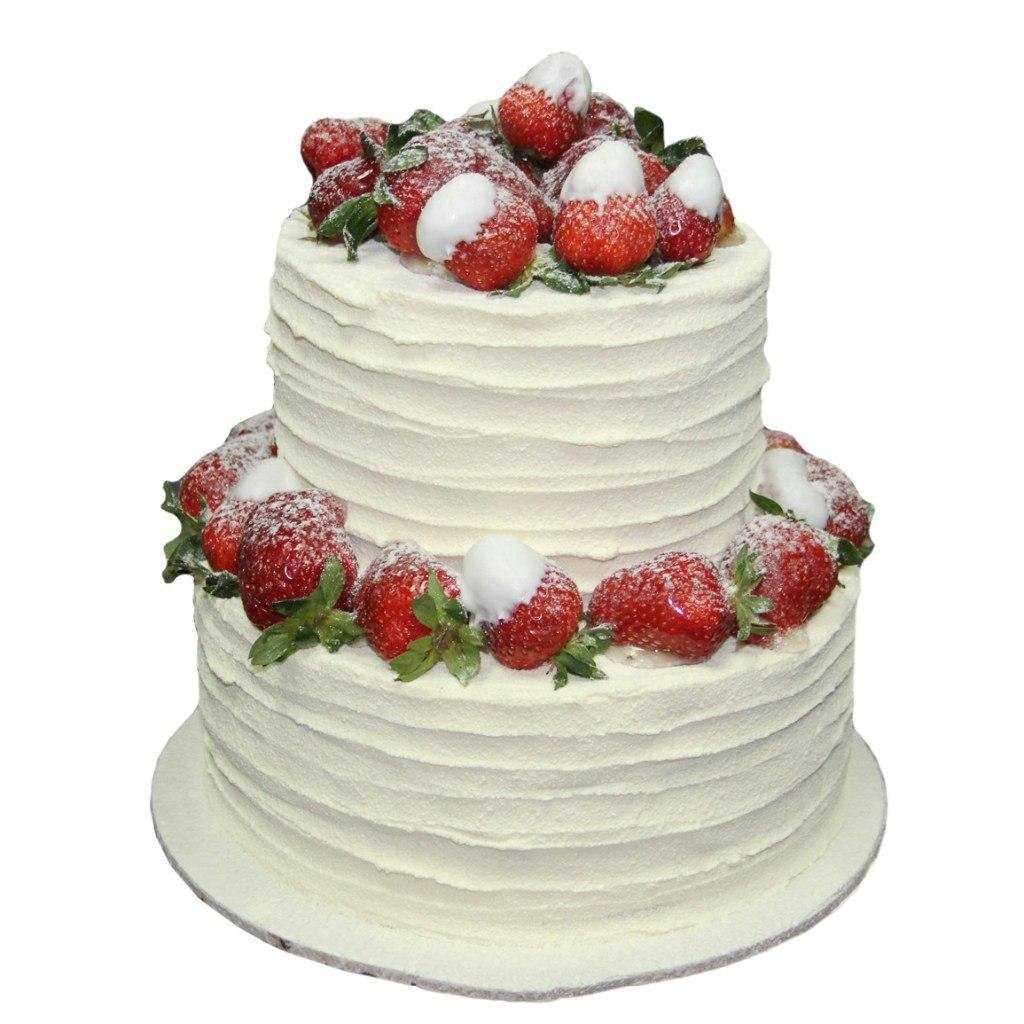 Отзывы на компанию Капучино в г. Волгоград c фото