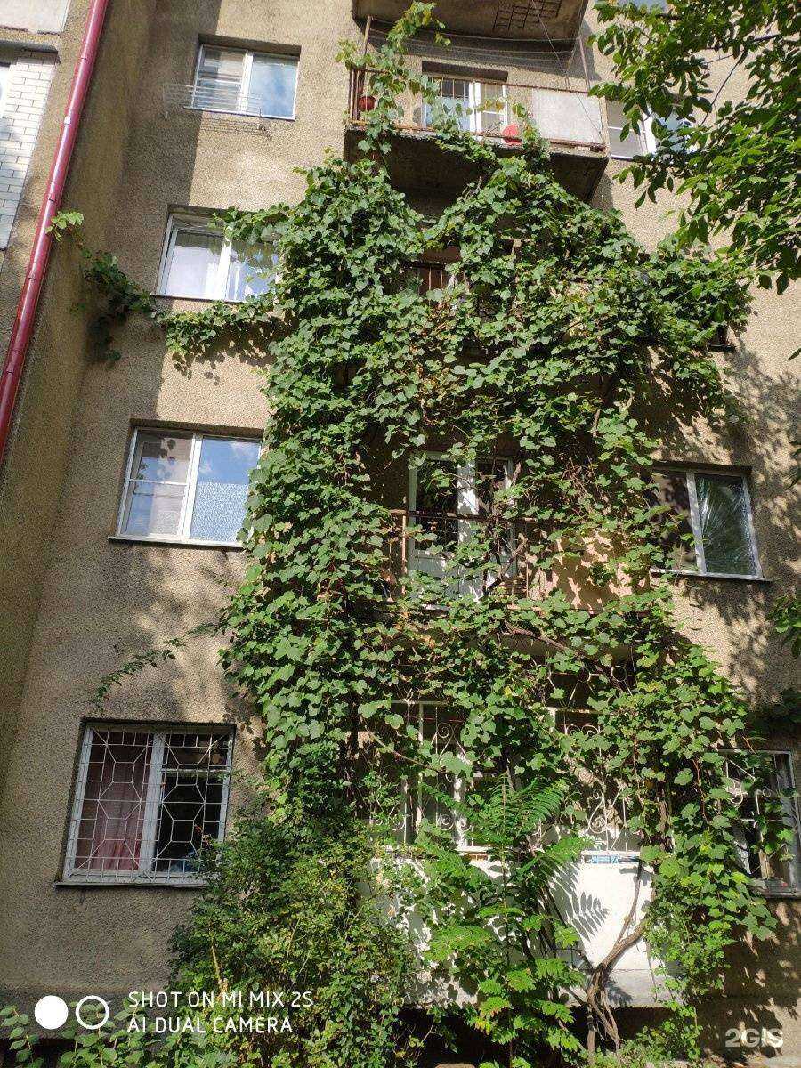 Отзывы на компанию Fondato в Железноводске c фото - фотография 2 из 2