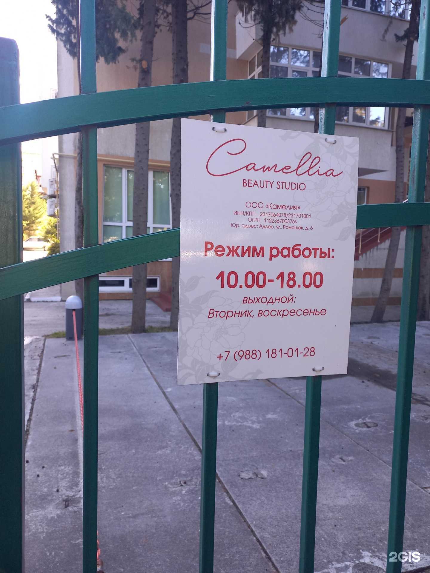 Отзывы на компанию Camelia в Сочи c фото