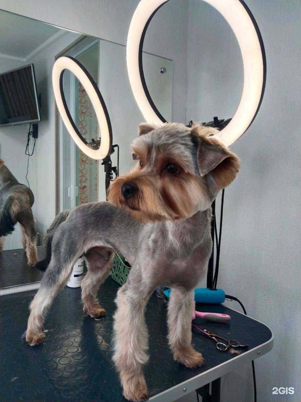 Отзывы на компанию Конура в Южно-Сахалинске c фото