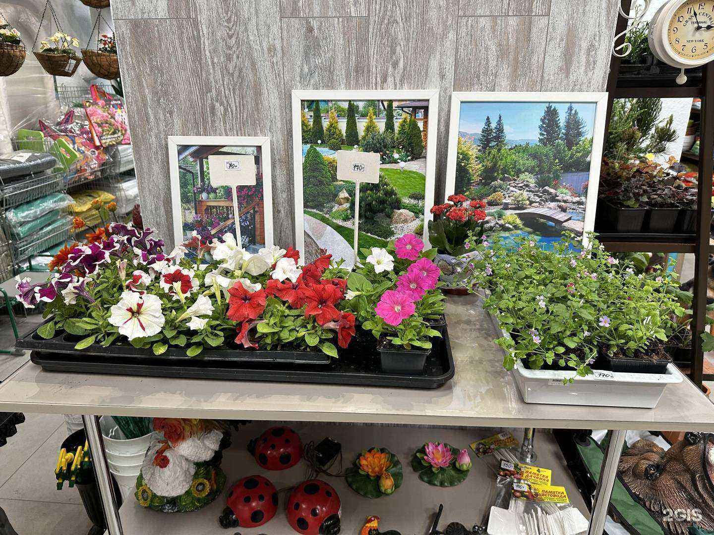 Отзывы на компанию Дачник в г. Архангельск c фото