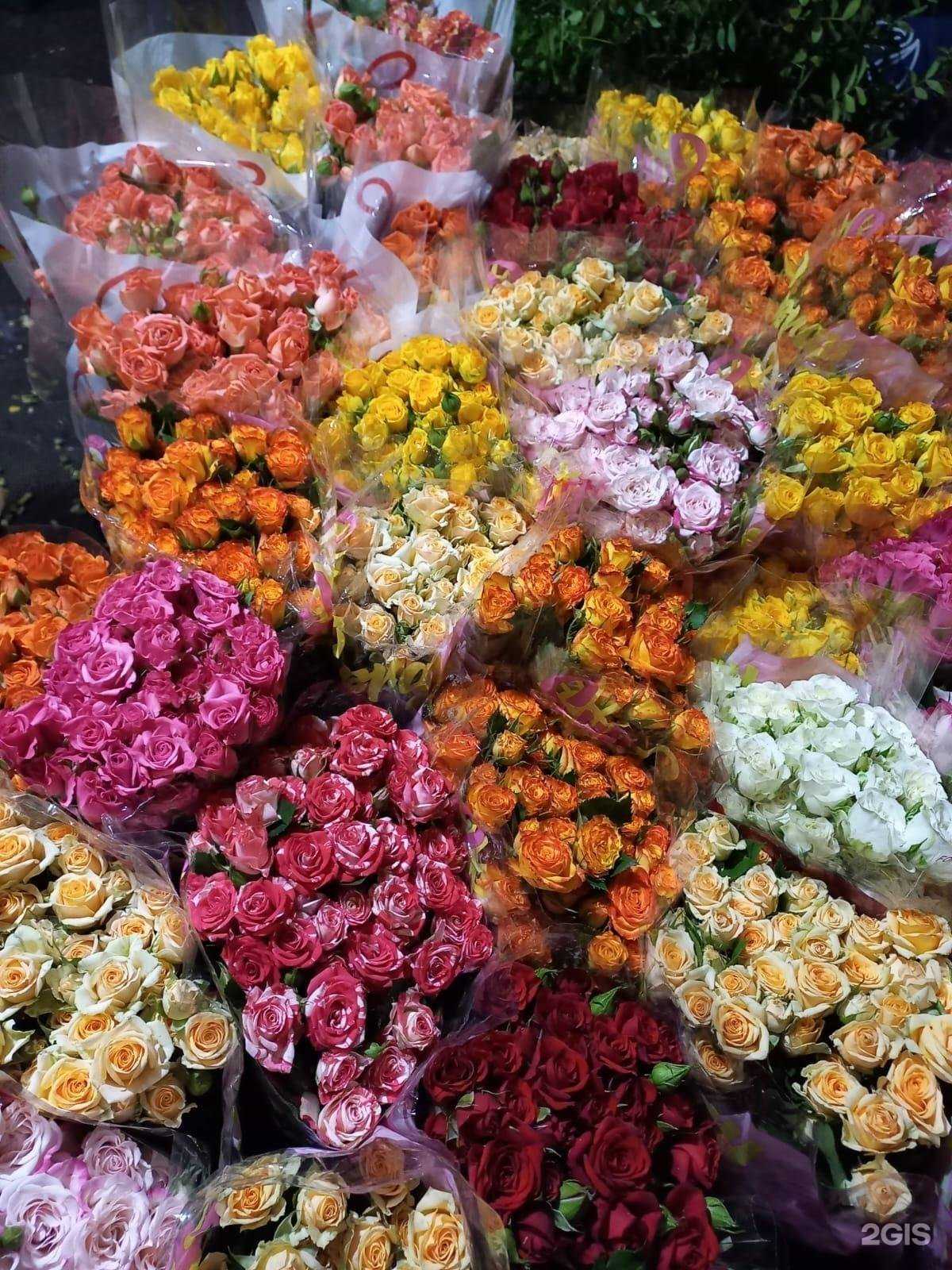 Отзывы на компанию Оазис цветов в Нижневартовске c фото