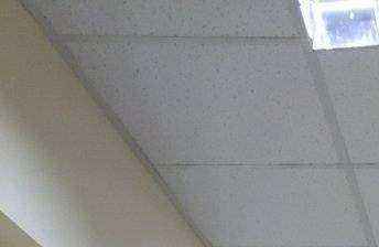 Отзывы на компанию Проектная компания в г. Саратов c фото