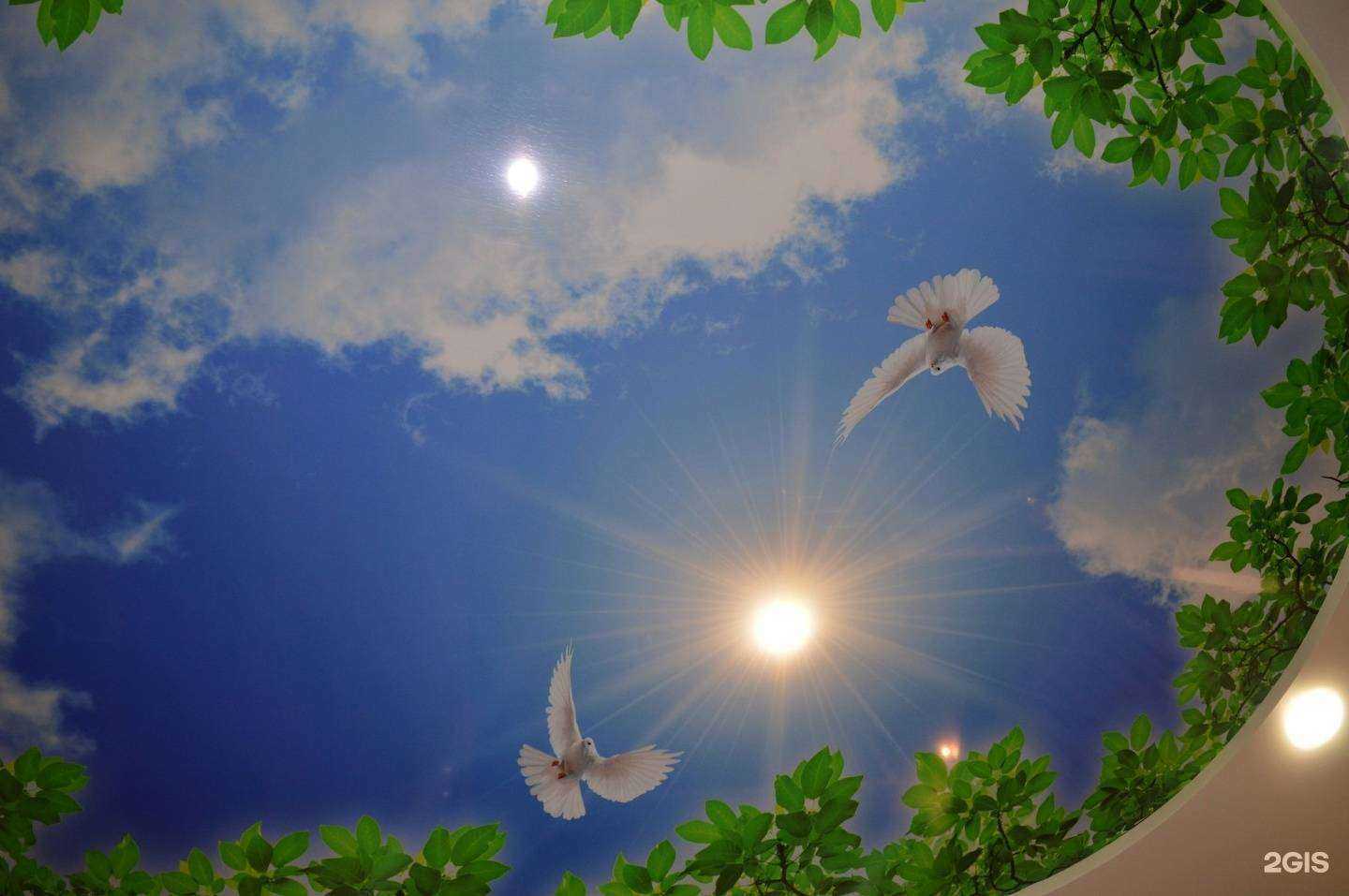 Отзывы на компанию Магия стиля в г. Чебоксары c фото