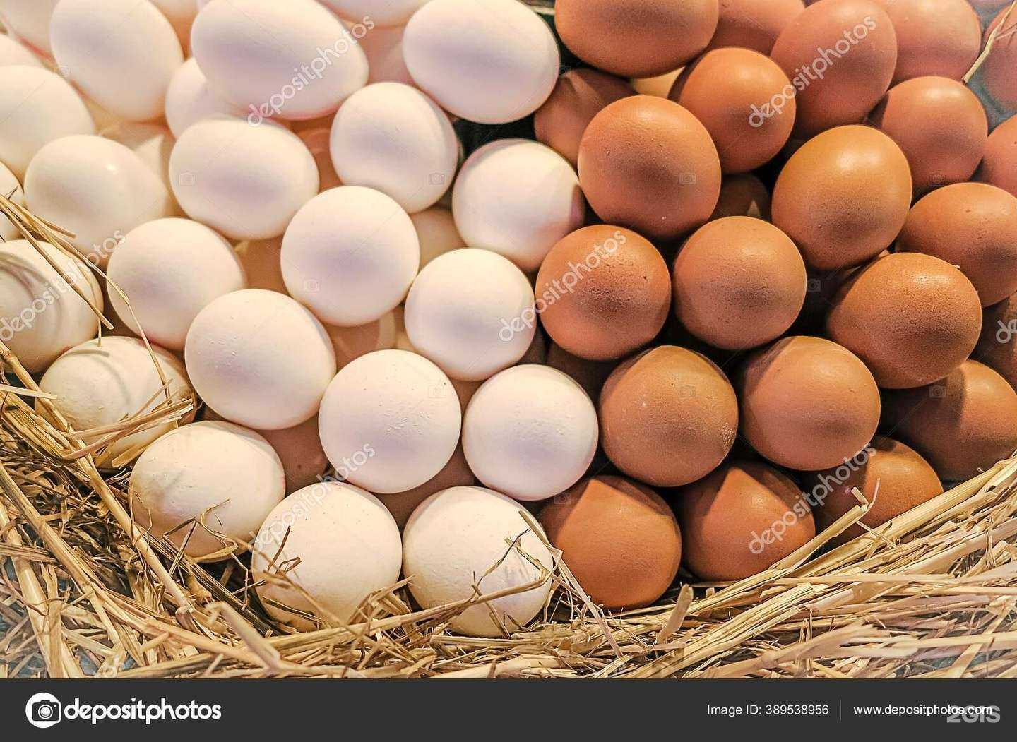 Отзывы на компанию Бонпродукт-Н в Новосибирске c фото