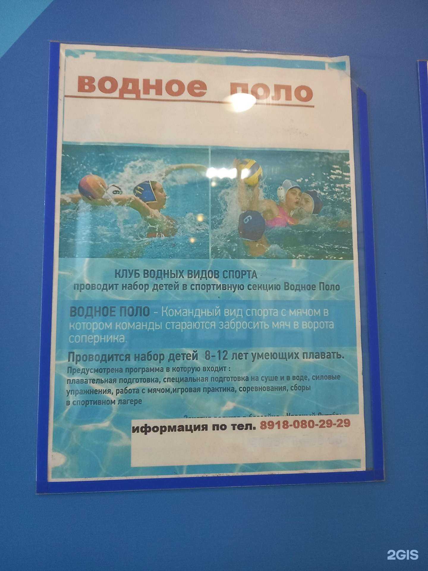 Отзывы на компанию Краснодарская Федерация водного поло в Краснодаре c фото