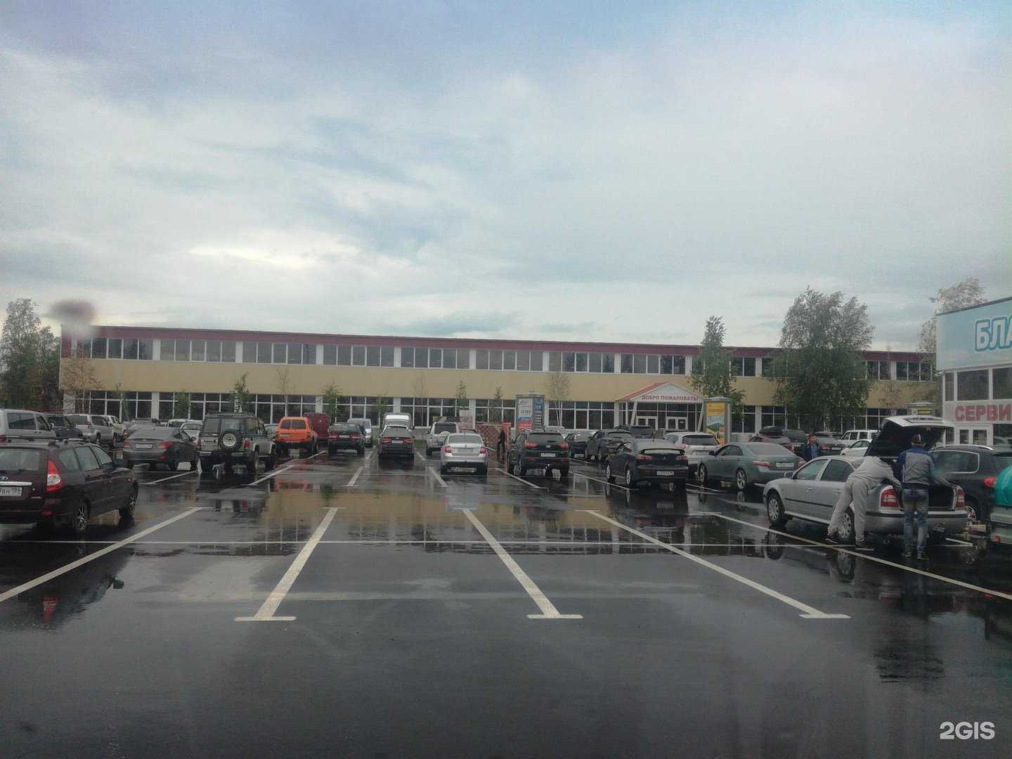 Отзывы на компанию Сургутский программный сервис в Сургуте c фото