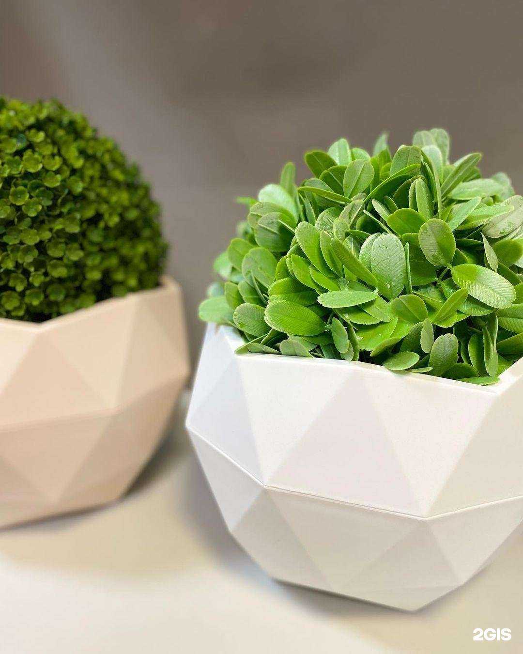 Отзывы на компанию Элер в г. Чита c фото