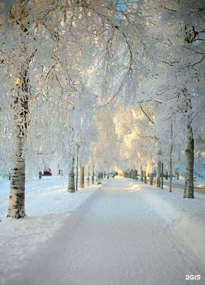 Отзывы на компанию Компания по производству индивидуальных ортопедических каркасных стелек в г. Орёл c фото