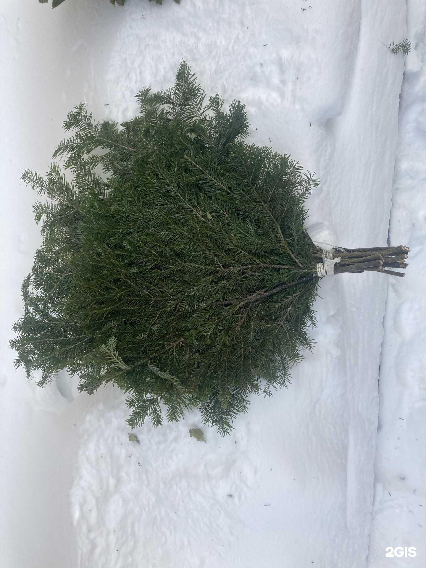 Отзывы на компанию Магазин по продаже банных веников в г. Тюмень c фото