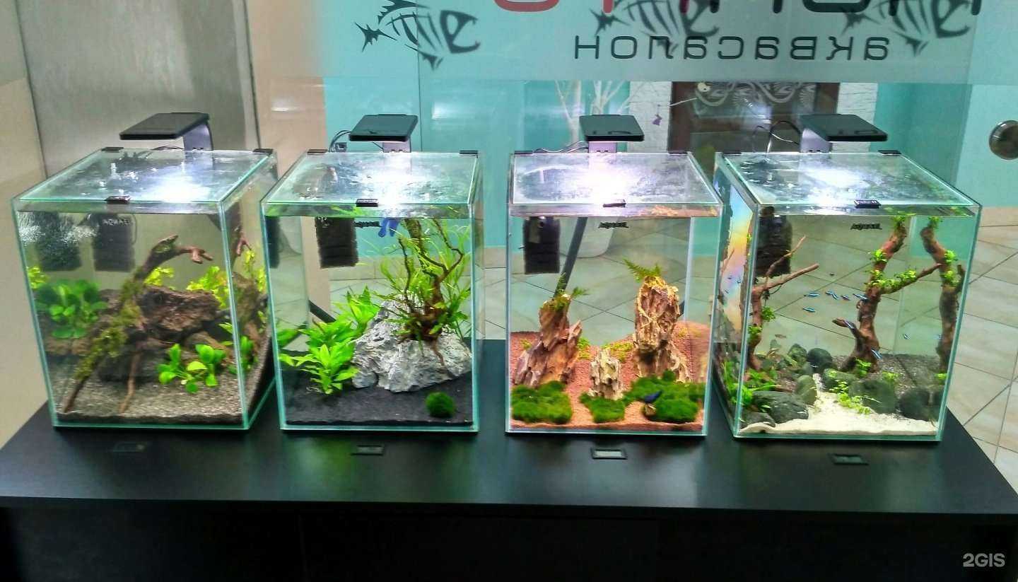 Отзывы на компанию FishPro в Калининграде c фото