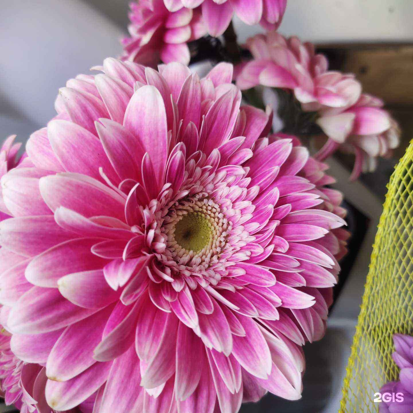 Отзывы на компанию LoveStory в Архангельске c фото