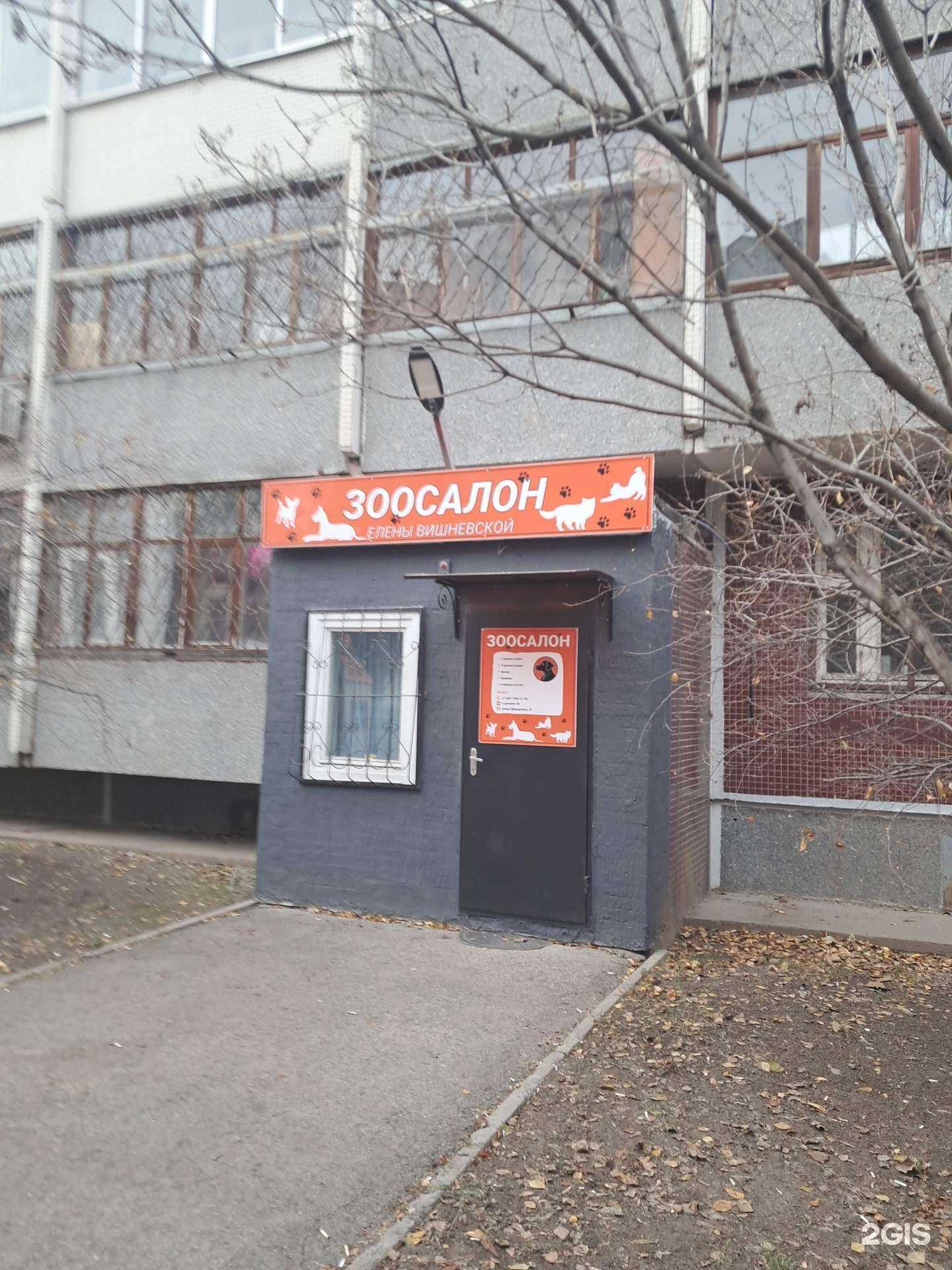 Отзывы на компанию Студия груминга в Тольятти c фото