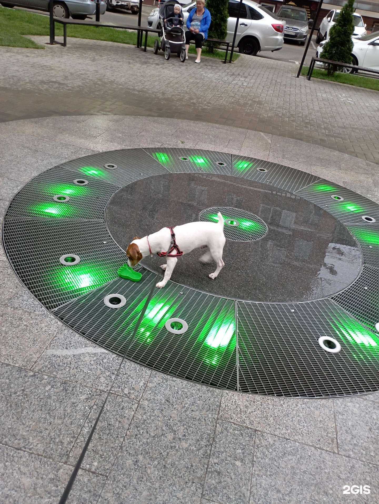 Отзывы на компанию Ostrovok.cat в Краснодаре c фото