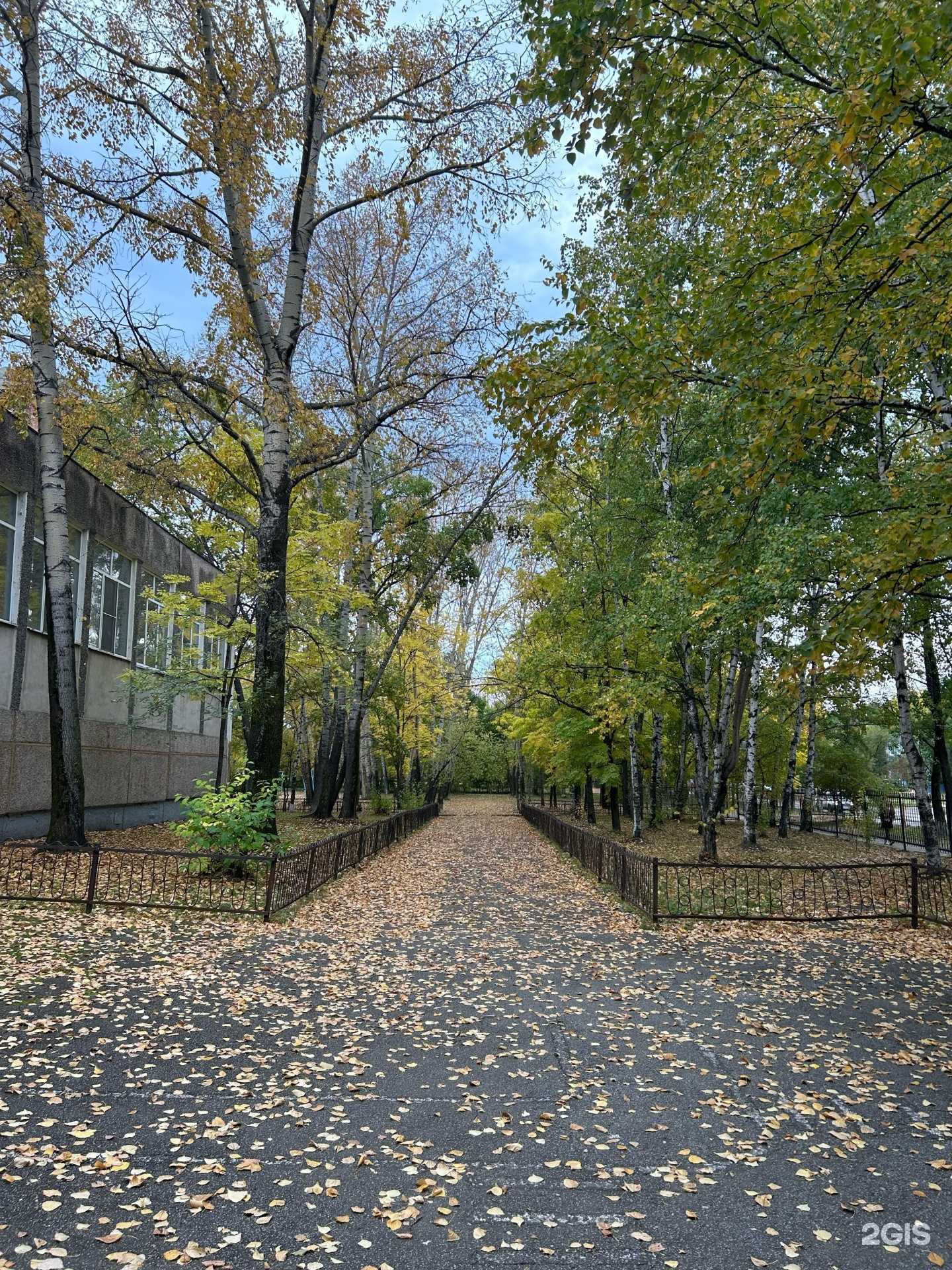 Отзывы на компанию Средняя школа №49 в Хабаровске c фото