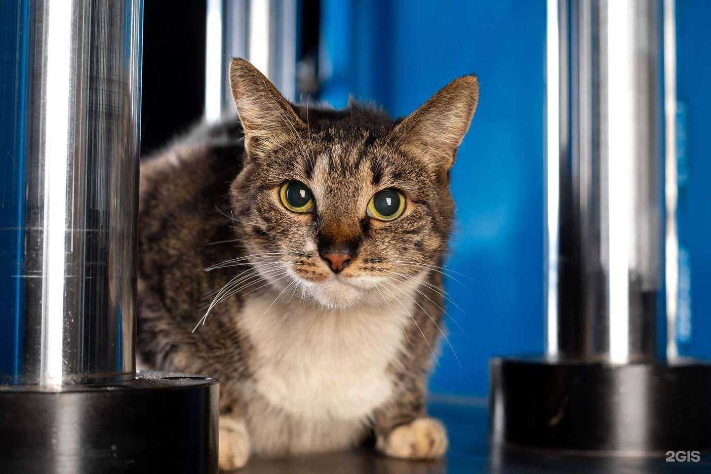 Отзывы на компанию Оптимус в Челябинске c фото