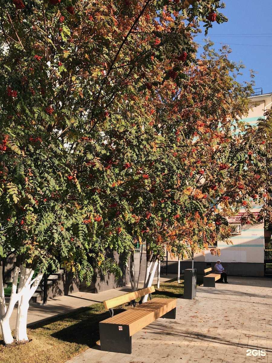 Отзывы на компанию Ваш юрист в Альметьевске c фото - фотография 2 из 2