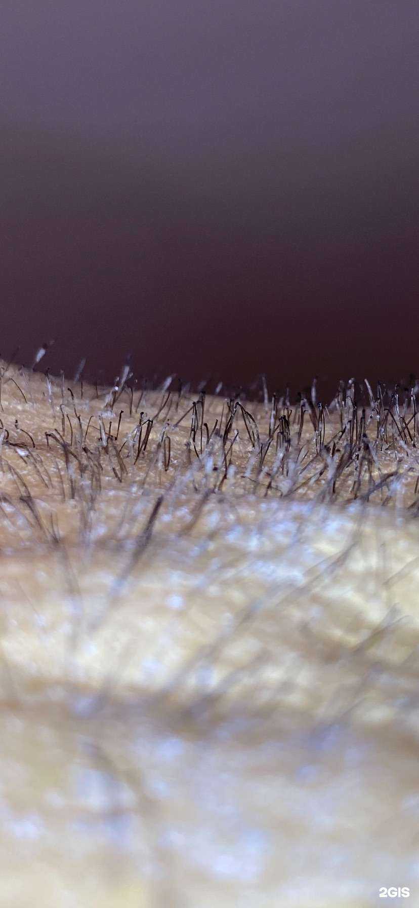 Отзывы на компанию Так Хочу в Казани c фото