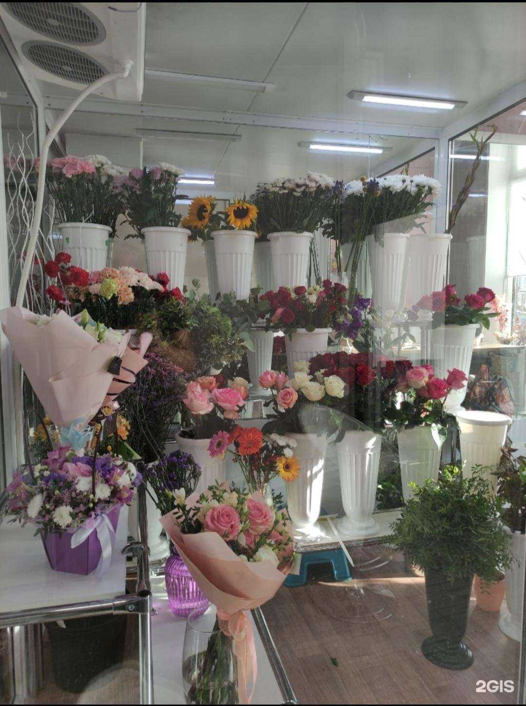 Отзывы на компанию Свит фло в Одинцове c фото