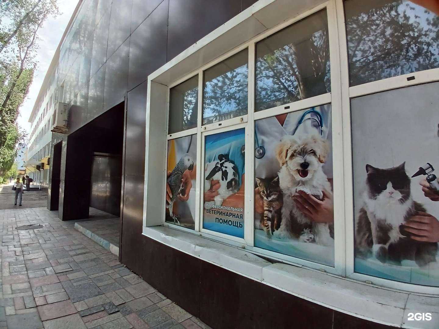 Отзывы на компанию Астраханский государственный университет им. В.Н. Татищева в Астрахани c фото