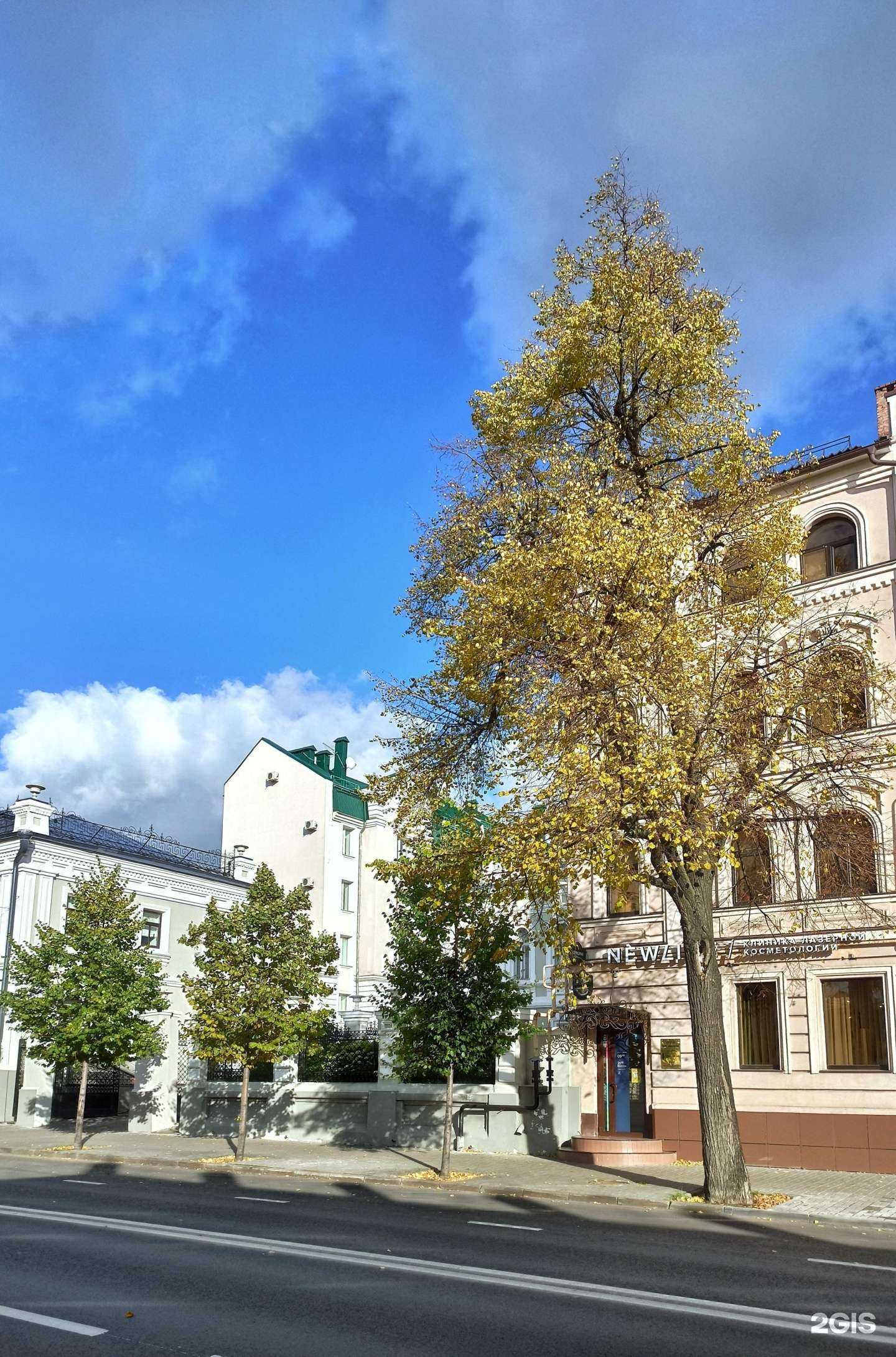 Отзывы на компанию Newline в Казани c фото - фотография 2 из 2