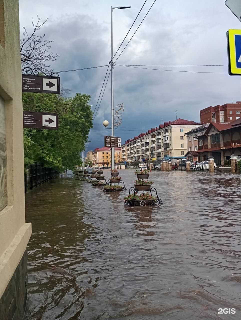 Отзывы на компанию Курганветсервис в Кургане c фото - фотография 2 из 2