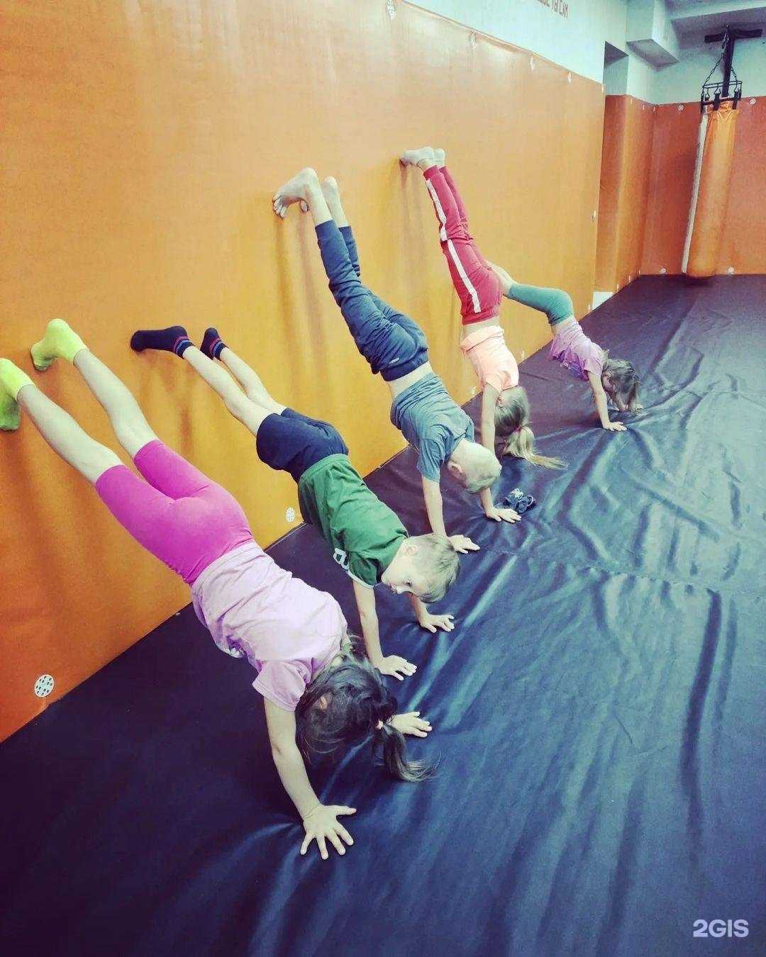 Отзывы на компанию Acrodeti в Новосибирске c фото