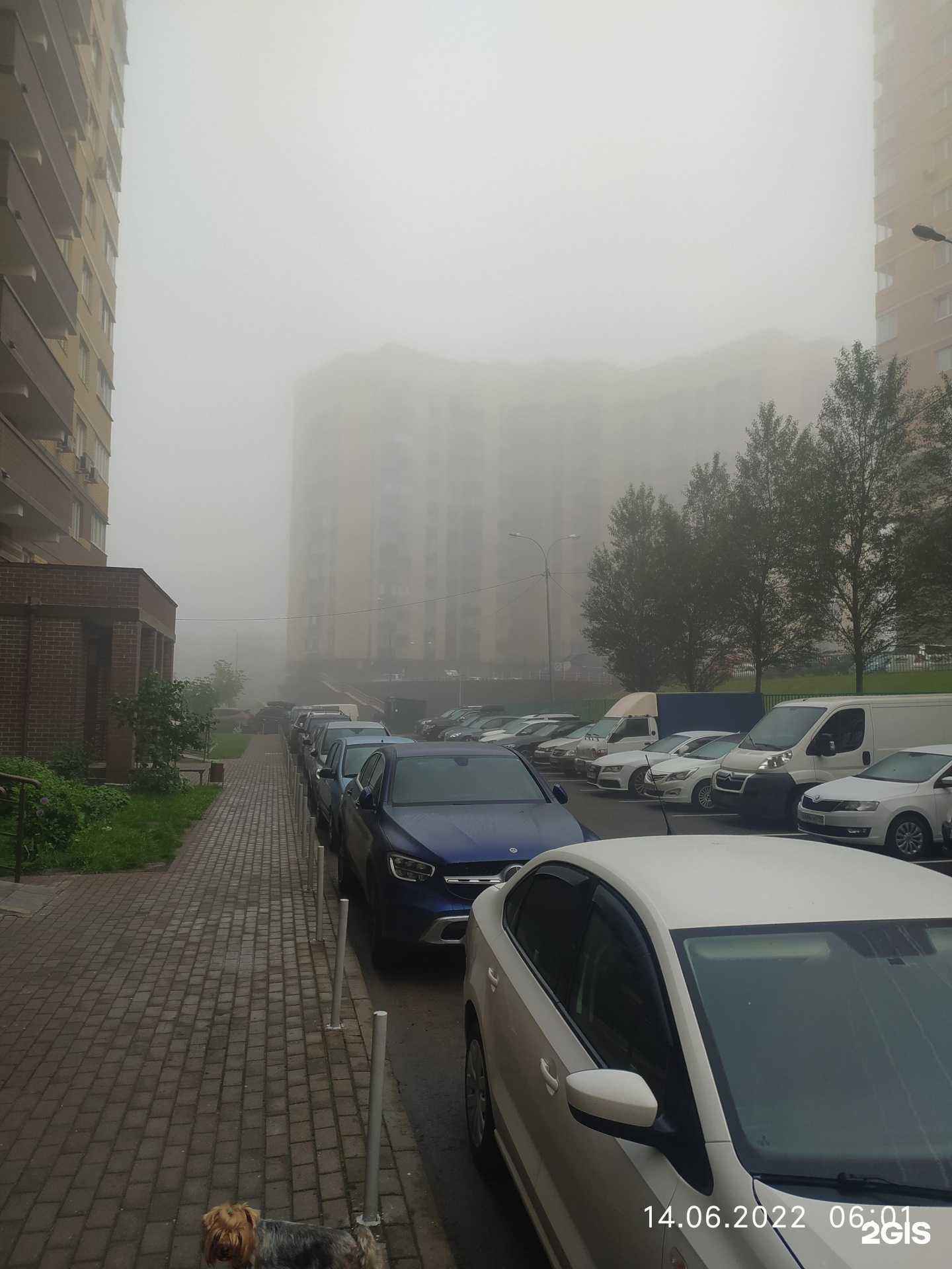 Отзывы на компанию Головоломка в Долгопрудном c фото - фотография 2 из 2