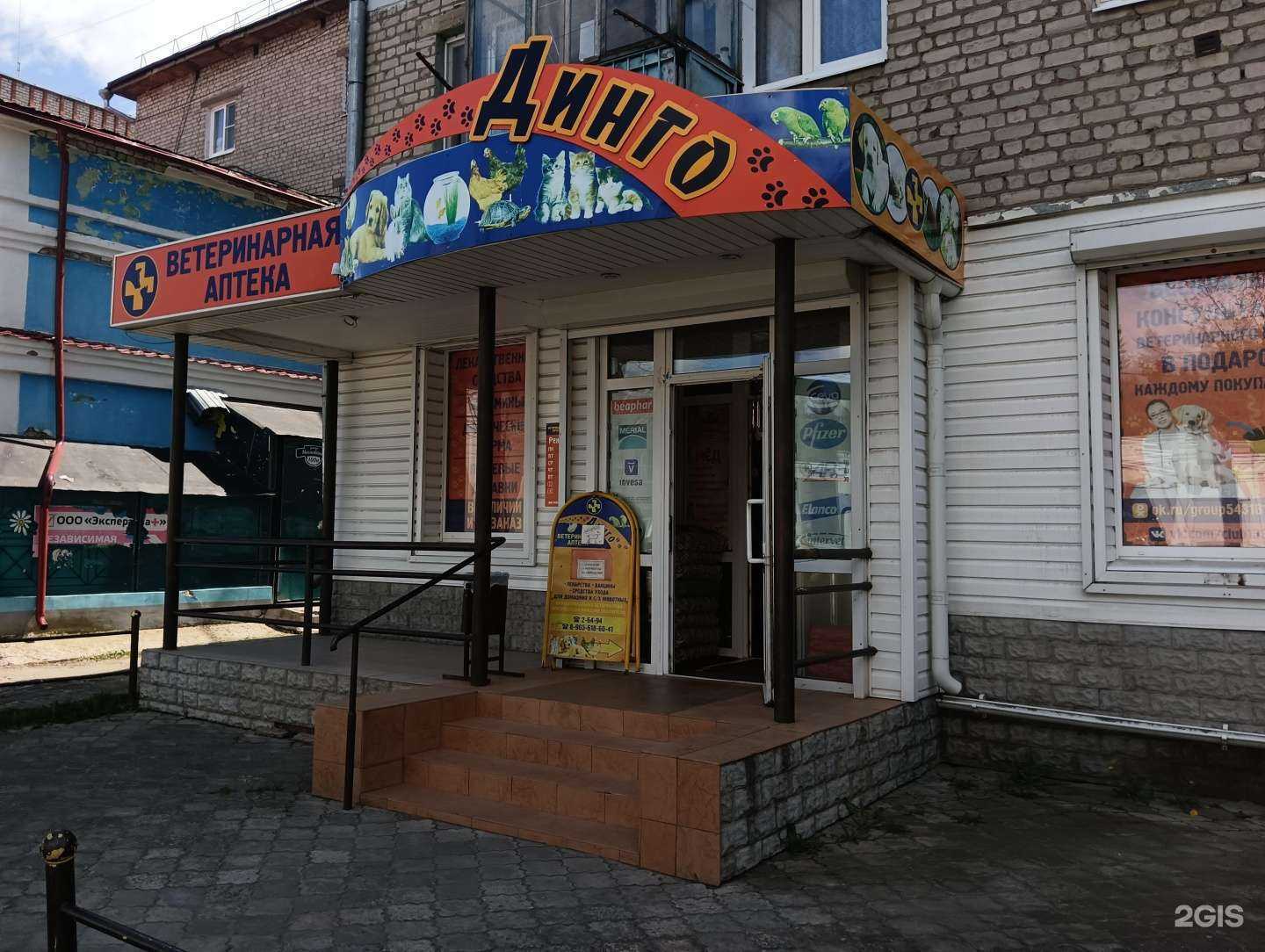 Отзывы на компанию Динго в Муроме c фото