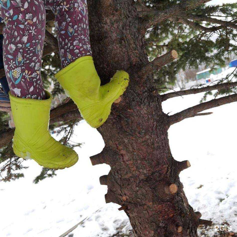 Отзывы на компанию Панда-Сан в Солнечногорске c фото