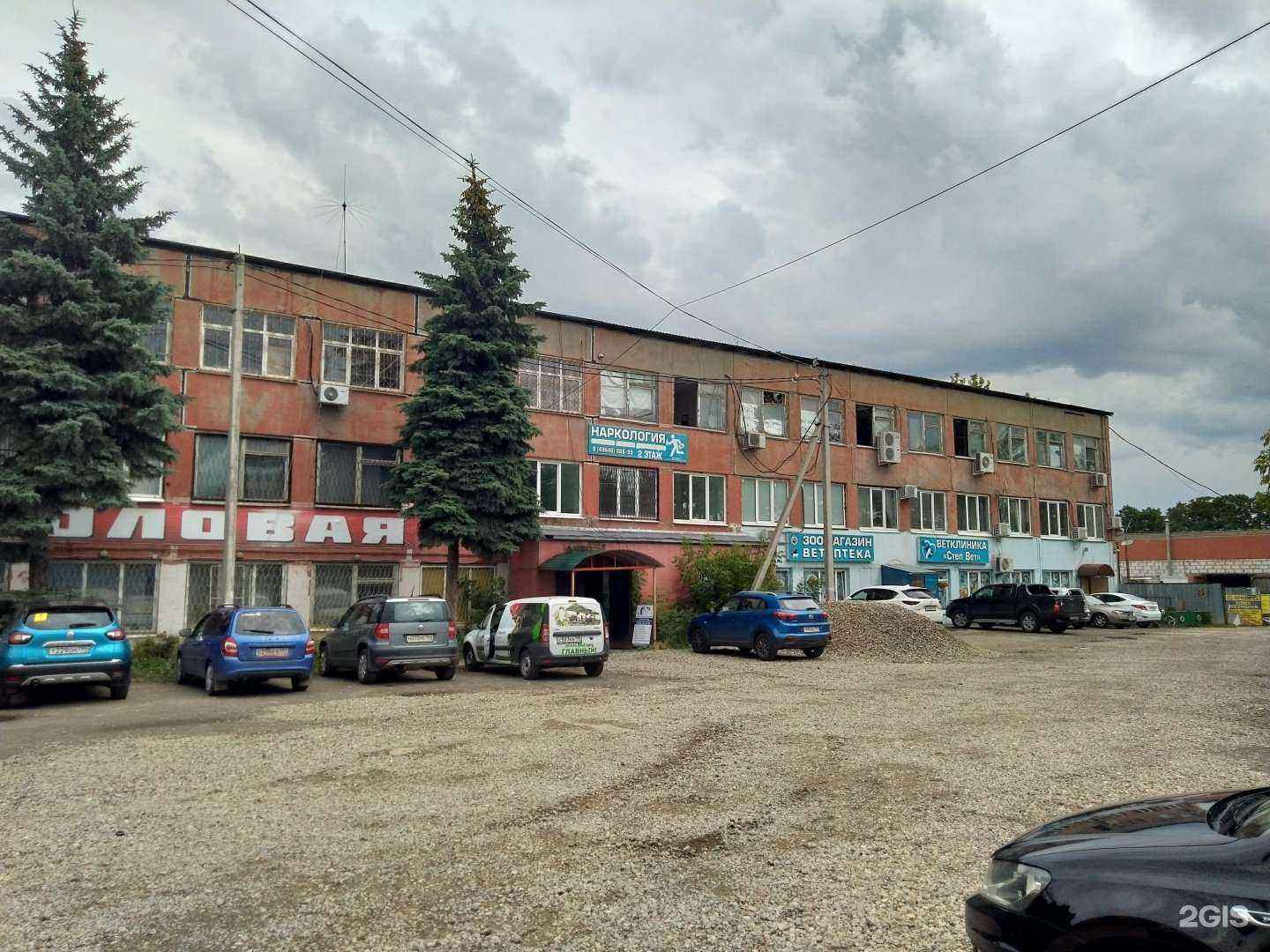 Отзывы на компанию СтепВет в Бронницах c фото - фотография 2 из 2