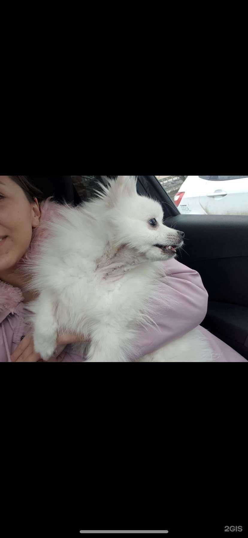 Отзывы на компанию Ветэксперт в Казани c фото