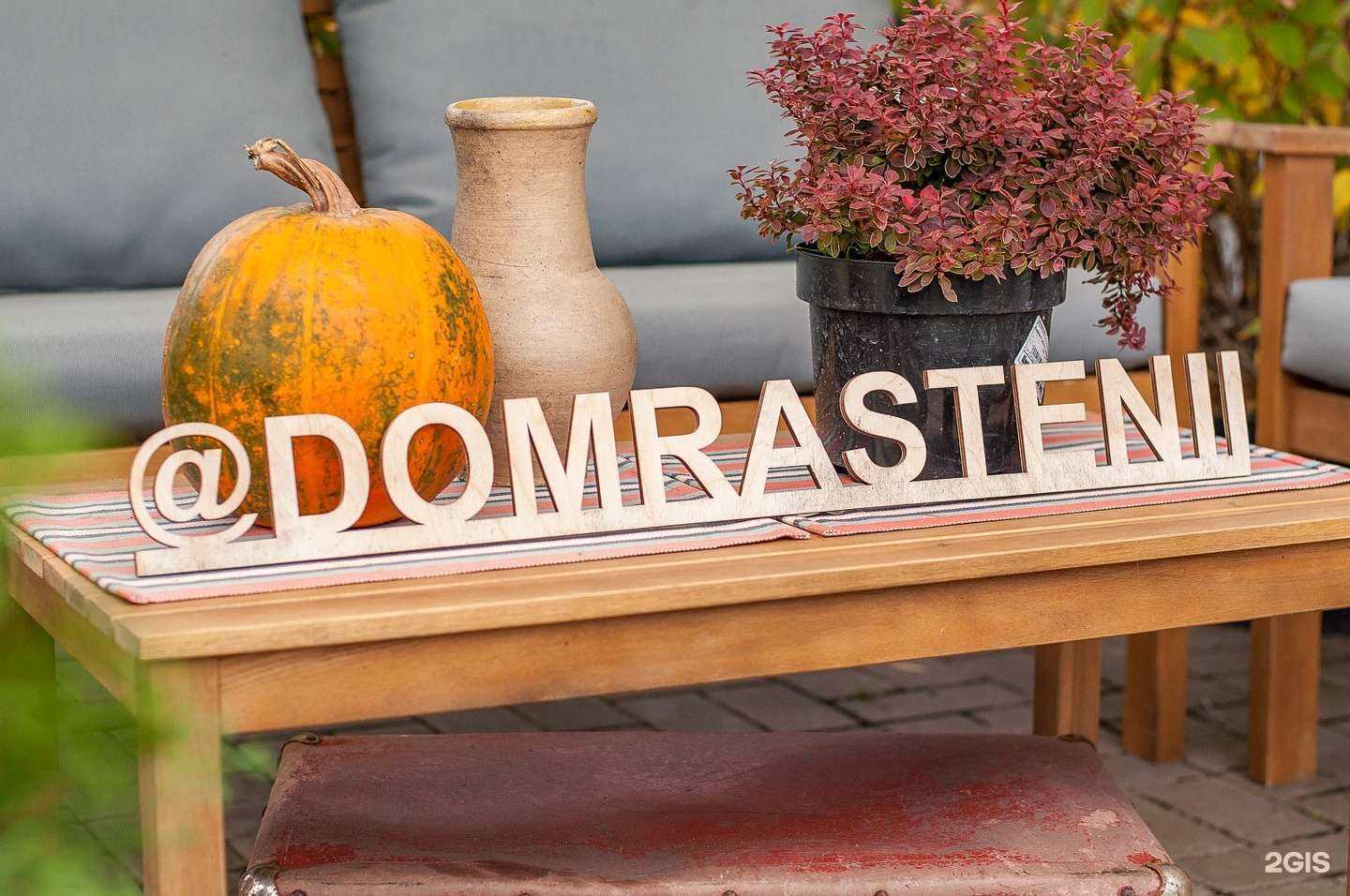 Отзывы на компанию Дом растений в Воронеже c фото