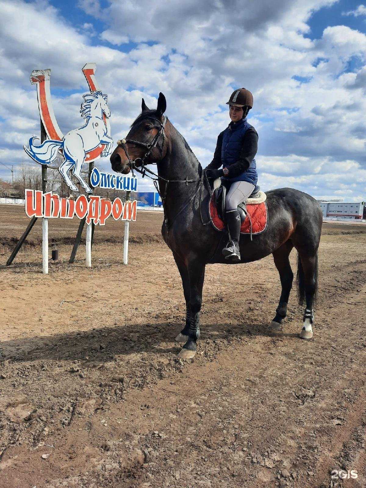 Отзывы на компанию Два сердца в Омске c фото