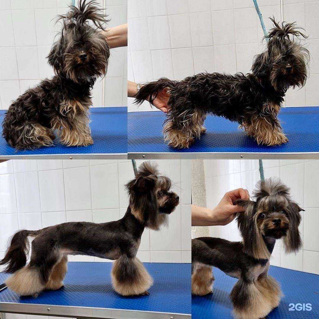 Отзывы на компанию Гармония в г. Химки c фото