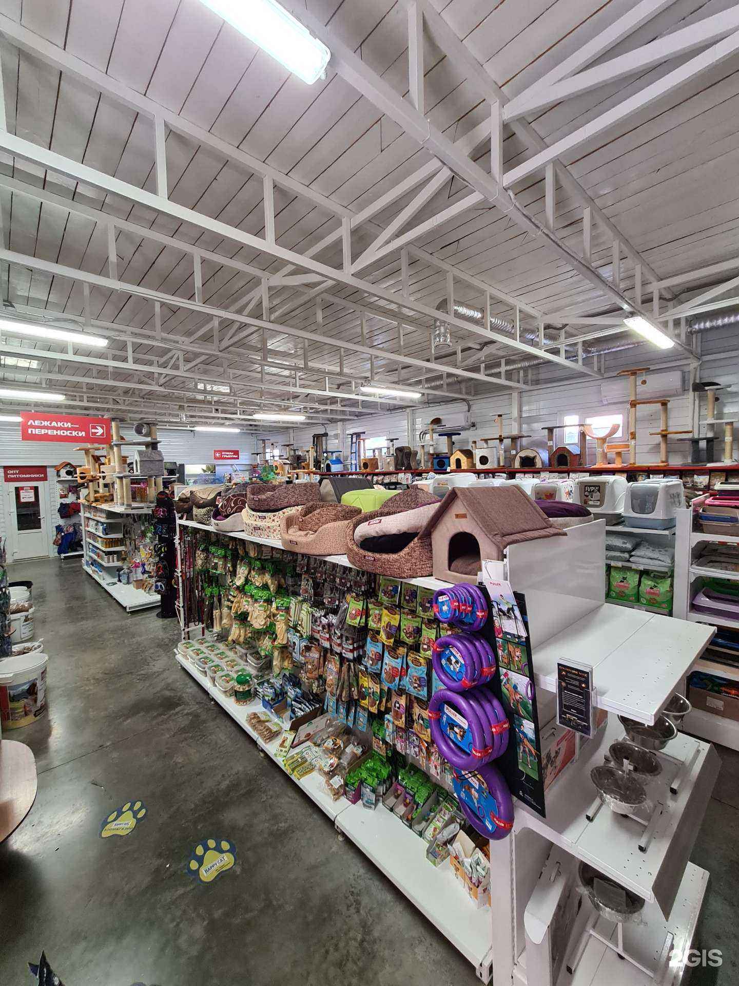 Отзывы на компанию Zoo центр в Астрахани c фото