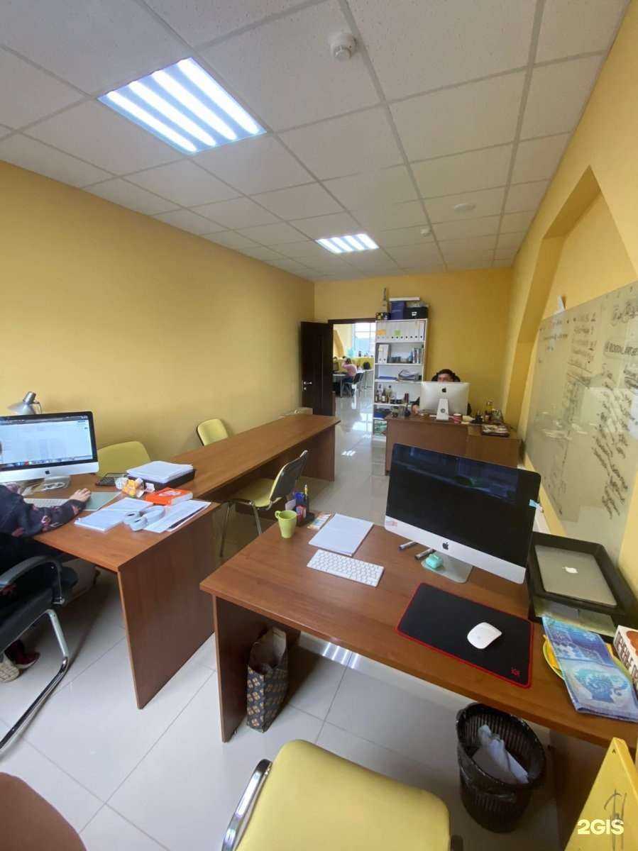 Отзывы на компанию The blotch в Нижнем Новгороде c фото