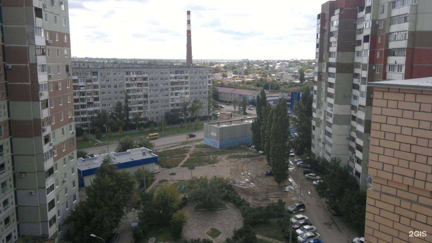 Отзывы на компанию Хвост & Ушки в Волгограде c фото - фотография 2 из 2