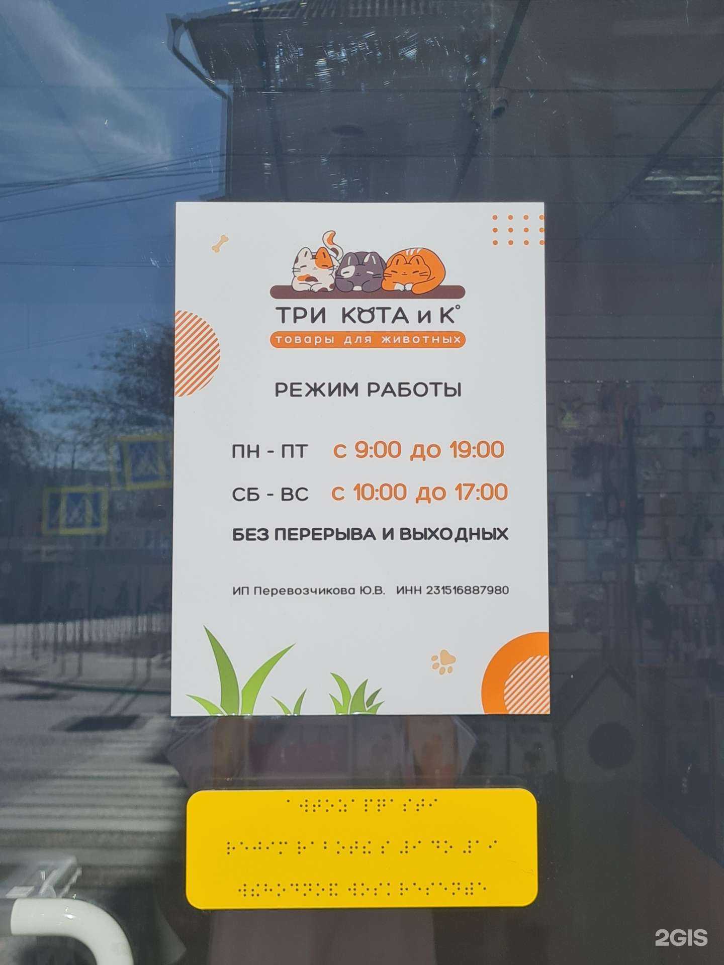 Отзывы на компанию Три кота и К° в Новороссийске c фото