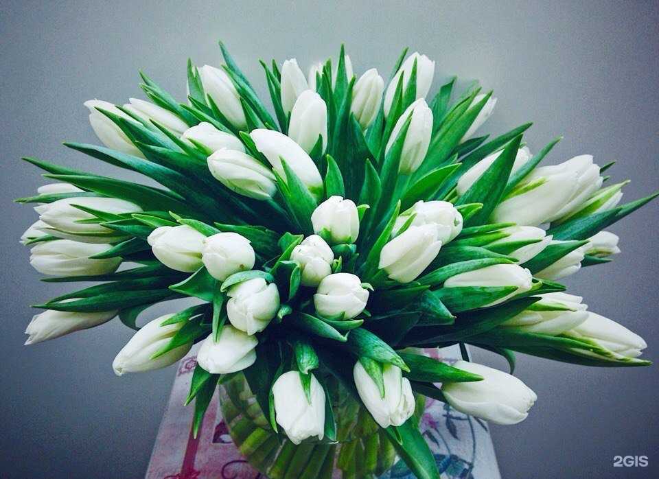 Отзывы на компанию Camellia в г. Казань c фото