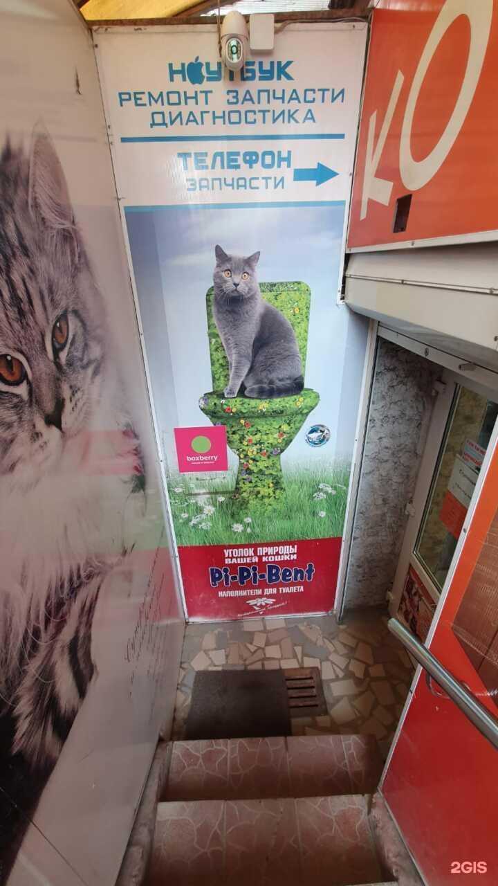 Отзывы на компанию Boxberry в Брянске c фото