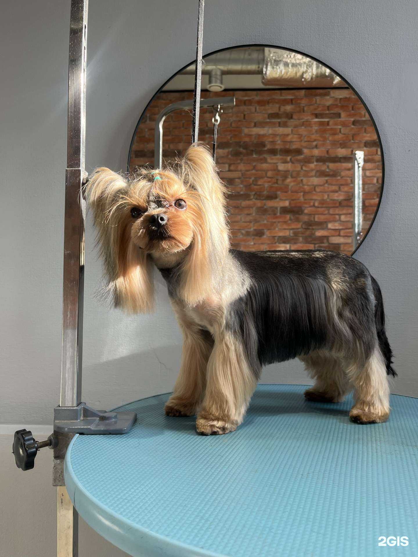 Отзывы на компанию Аппагрум в г. Иркутск c фото